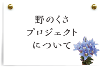 野のくさプロジェクトについて